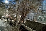 Чиновники пообещали высадить новые деревья во 2-м Детском проезде
