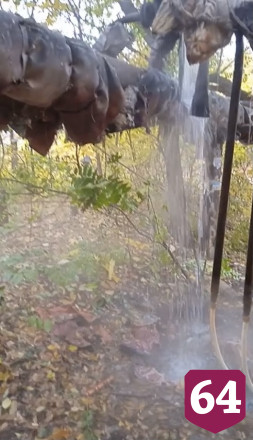 Погреба жителей Саратова затапливает кипятком 