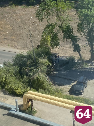 В Саратове дерево рухнуло на иномарку с водителем и пассажиром
