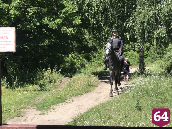 Беседки на Кумысной поляне охраняют полицейские кони 