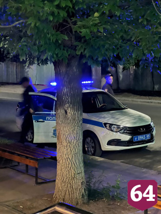 В центре Саратова подрались из-за собак