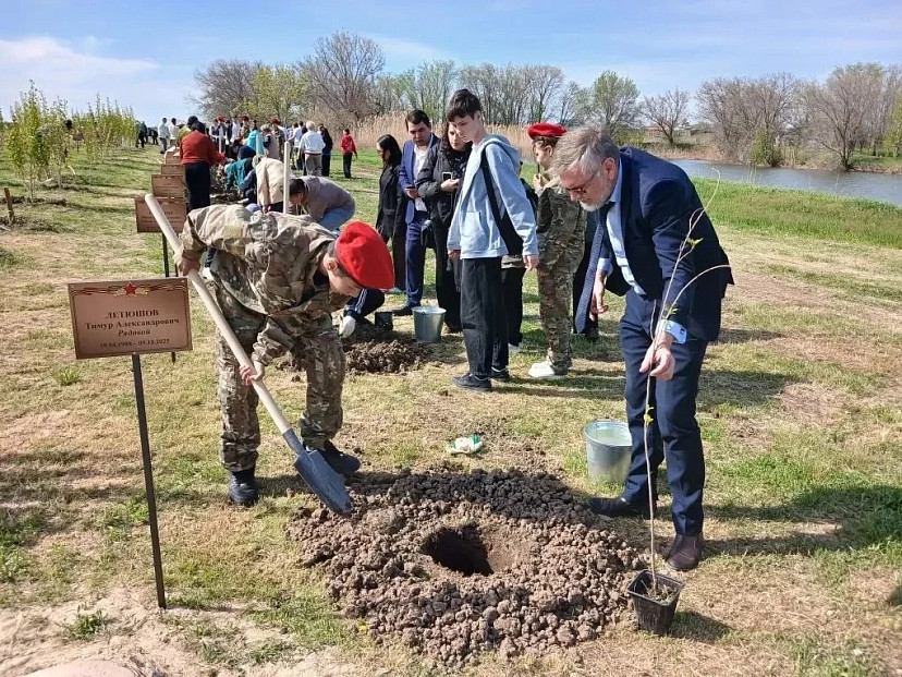 Земляки посадили деревья в честь саратовских воинов