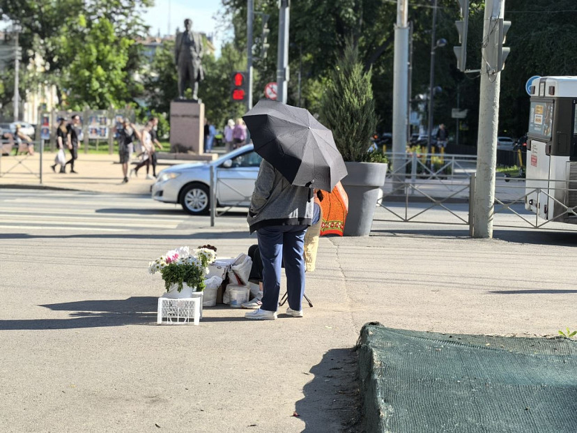 В Саратовской области обещают 35-градусную жару
