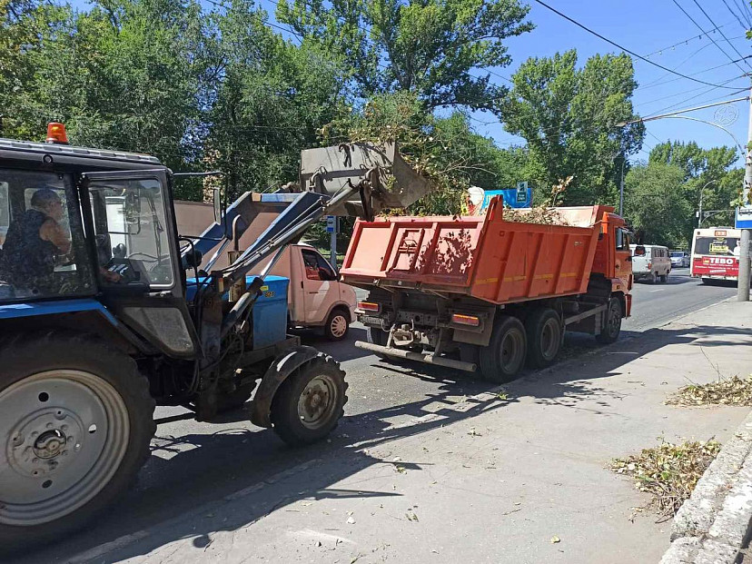 Висевшее над тротуаром дерево убрали после публикации «Региона 64»