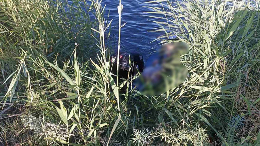 Из реки под Саратовом водолазы вытащили труп неизвестного