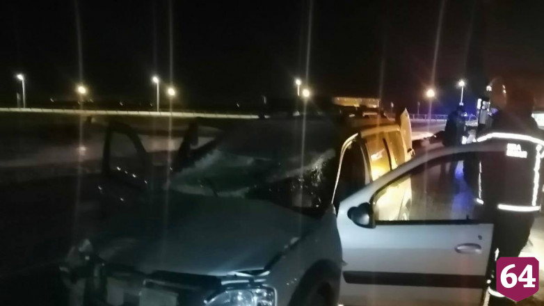 Водитель «Лады» насмерть сбил лошадь под Саратовом