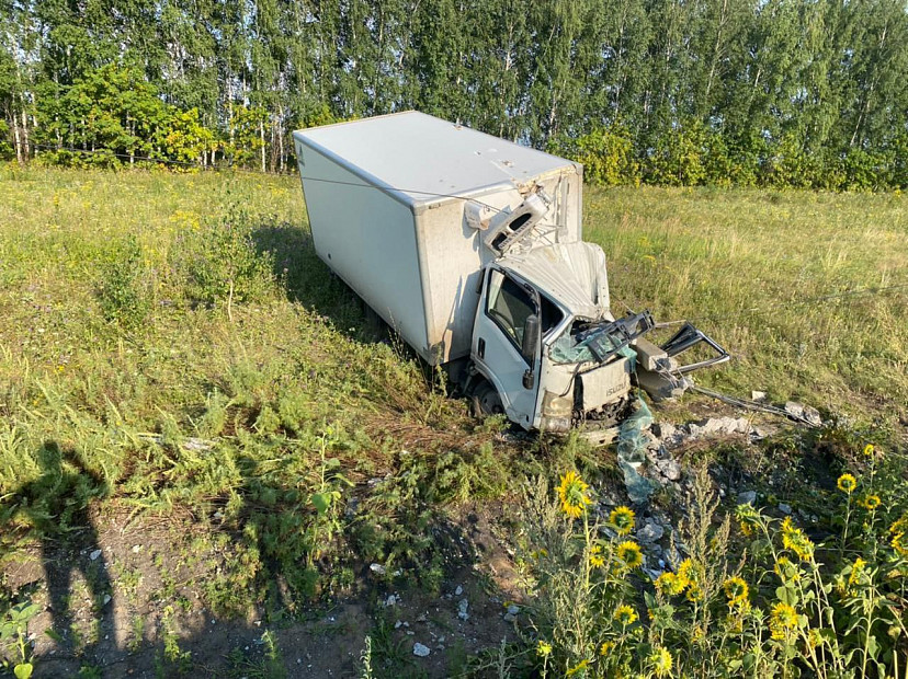 Под Саратовом грузовик вылетел в кювет и врезался в столб