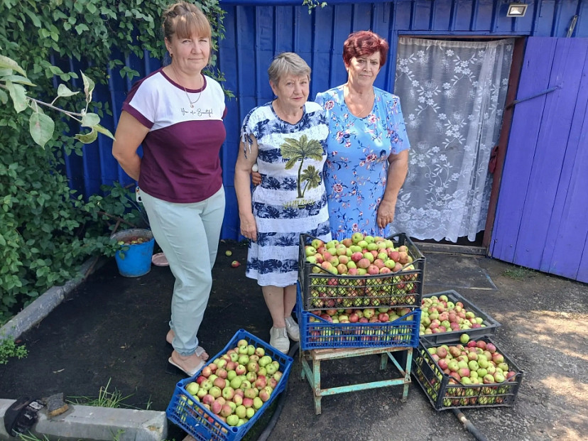 Саратовские женщины сварили бойцам варенье из яблок летних сортов