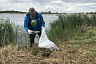 Министр для повышения эффективности переобулся и ушел в камыши