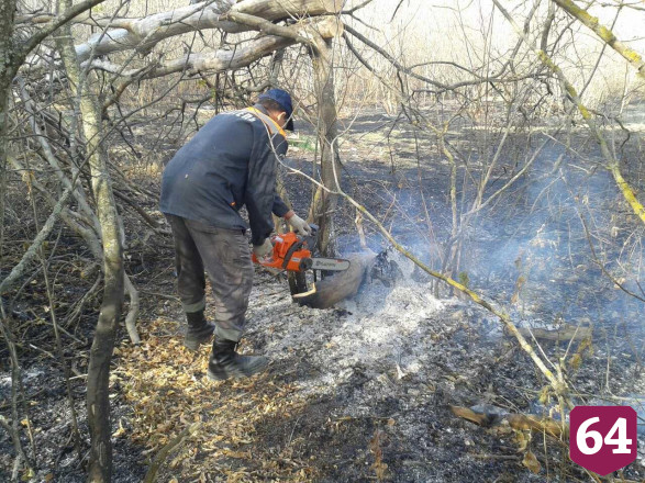 Саратовские спасатели отсекают от огня две деревни у горящего леса 