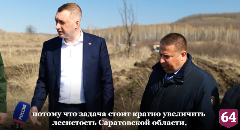 В Саратовской области высадят 4 тысячи гектаров леса