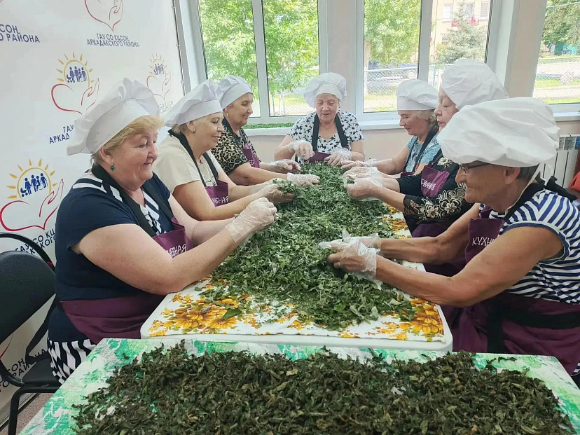 Саратовские пенсионеры для участников СВО заготавливают травяные сборы