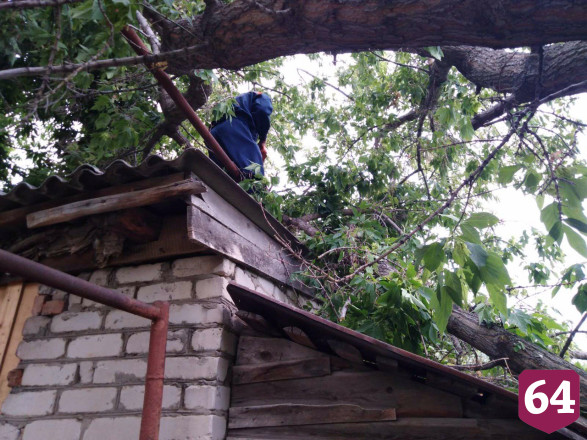 В Саратовской области ураган повалил 132 дерева