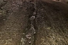 Жители Саратова боятся сломать ноги на замерзшей улице