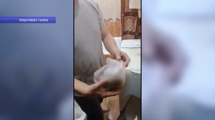 В квартире саратовца нашли полкилограмма марихуаны