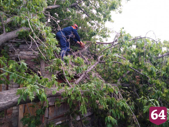 В Саратовской области ураган повалил 132 дерева