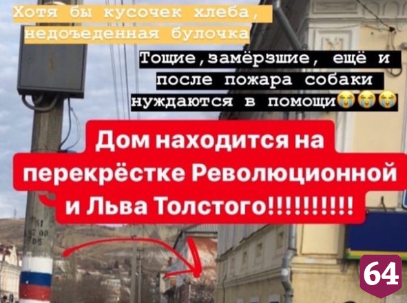 Пожарные спасли собак из горящей квартиры  