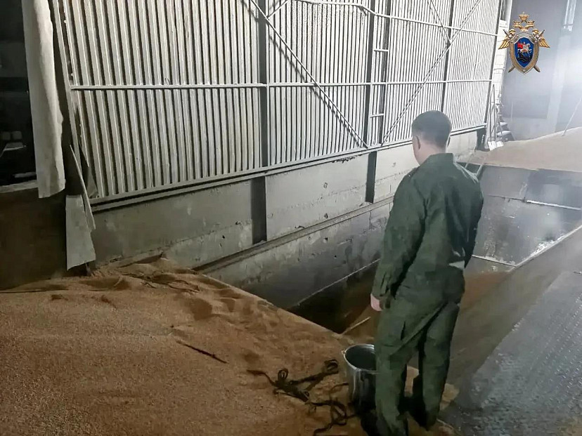 В Саратовской области рабочего насмерть засыпало зерном