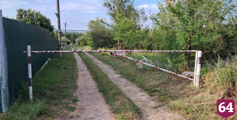В дачном поселке под Саратовом бесплатно раздают участки