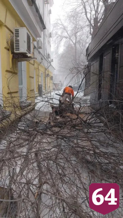 Саратовцы сообщают о поваленных деревьях и нулевой видимости на трассах