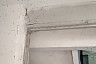 Подъезд саратовской многоэтажки атаковали тысячи комаров