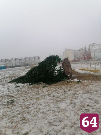 В поселке Саратова второй год подряд падает елка