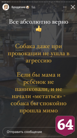 Саратовский кинолог озвучила правила поведения с бродячими собаками
