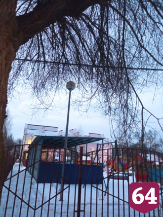 Саратовцы показали опасное дерево на пути к детскому саду 