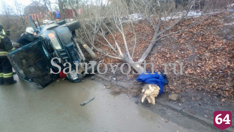 В Саратове водитель сбил дерево и опрокинулся на иномарке