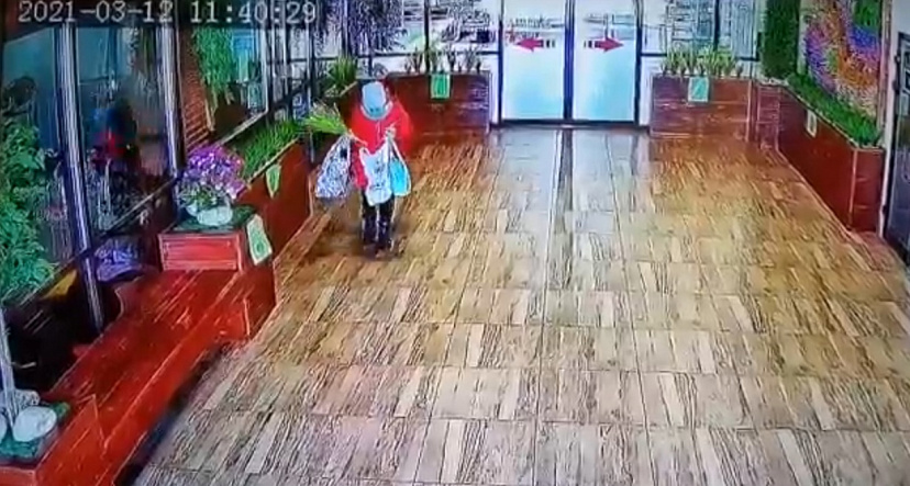 Женщина украла декор магазина и попала в объектив видеокамеры
