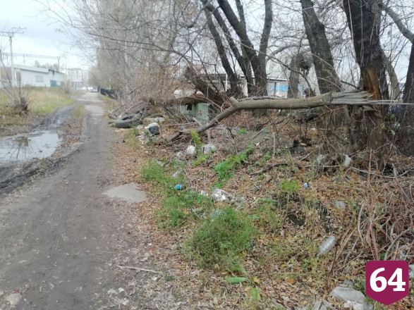 В Саратове бизнес обяжут убрать многолетнюю свалку