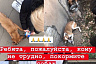 Пожарные спасли собак из горящей квартиры  