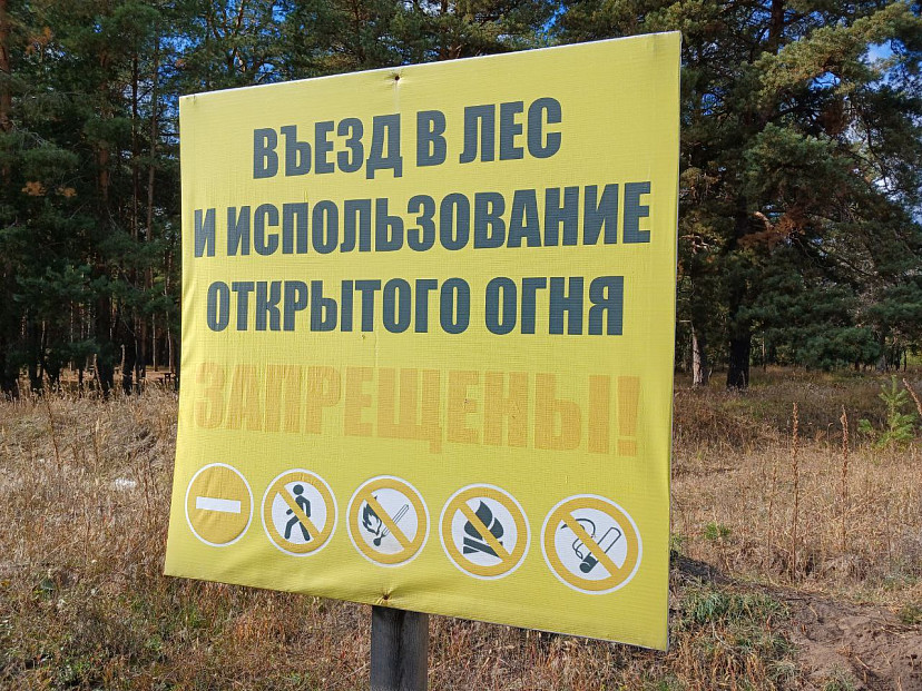 В Саратовской области за возгораниями следят 40 камер «Лесохранителя» 