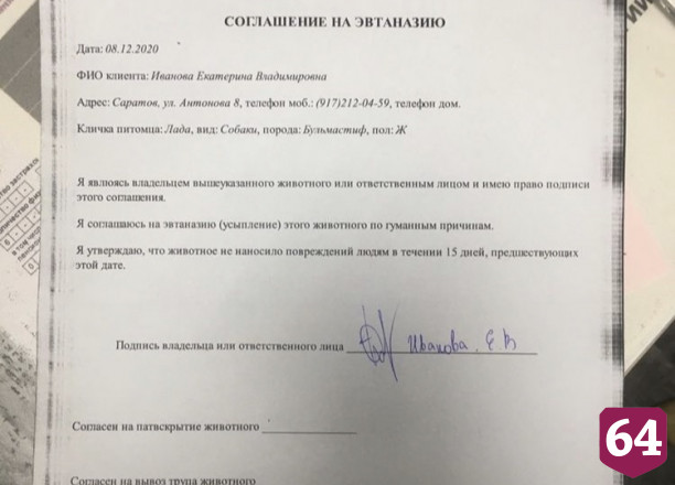 В Саратове после падения собаки с 5-го этажа возбуждено уголовное дело