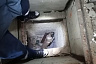 Саратовские спасатели вытащили собаку из заброшенного погреба