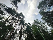 В Саратовской области благоустроили лесопарк с вековой историей