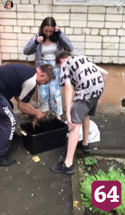 Жители Саратова спасли заблудившуюся утиную семью