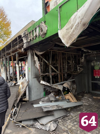 Саратовцы жалеют погибшего в горевшем рынке кота