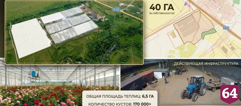 В Саратове за 600 миллионов рублей продают тепличный агрокомплекс