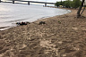 На пляже под саратовским мостом утонул молодой человек