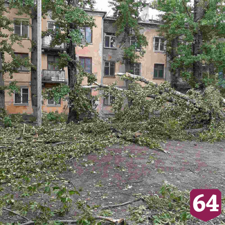 В Саратове сильный ветер обрушил дерево на автомобиль