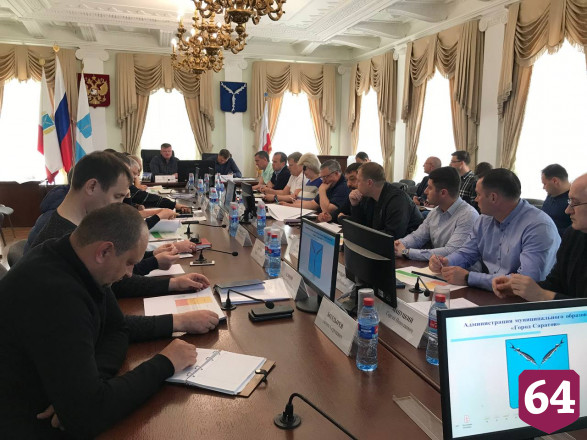 За неделю в Саратове отловили 100 собак