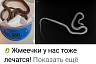 Саратовцы спасают попавшую в лапы кошки змею 