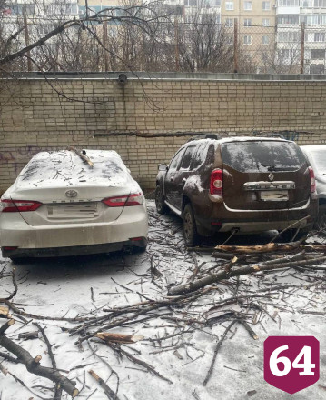 Саратовцы сообщают о поваленных деревьях и нулевой видимости на трассах