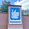 В Саратовской области насмерть отравились женщина и двое детей