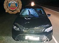 Под Энгельсом водитель иномарки насмерть сбил неизвестного мужчину 