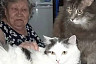 Пожилых саратовцев от депрессии и одиночества спасают кошки 