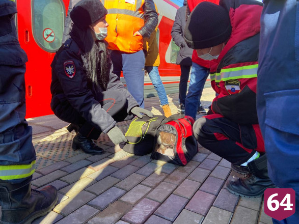 Беженцы из Донбасса приехали в Саратов вместе с собаками