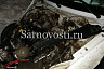 На саратовской трассе в ДТП травмировались 4 человека