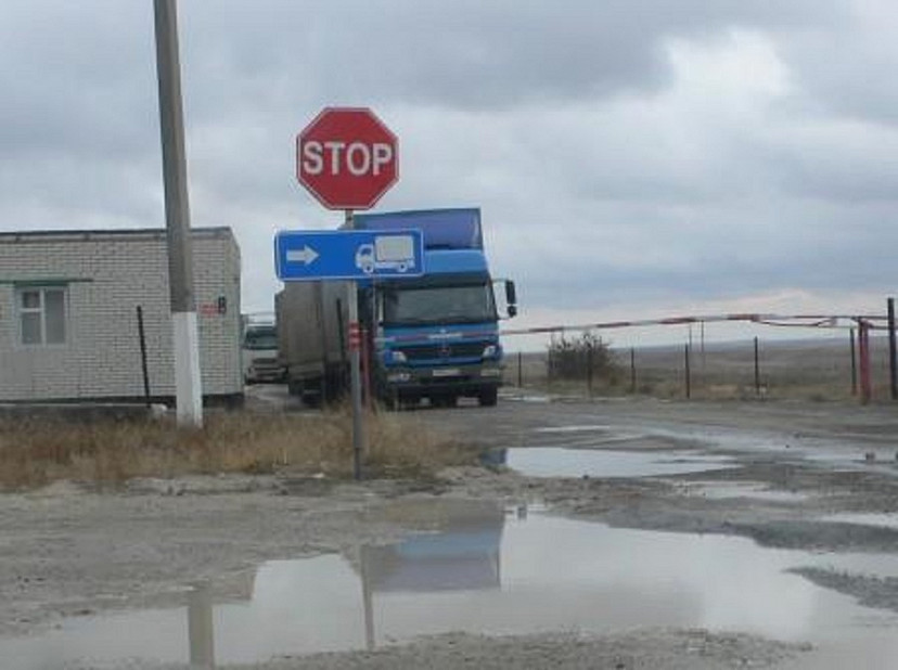 В Киргизию из Саратовской области не выпустили подозрительные саженцы